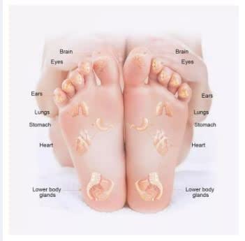 Magnetic Foot Acupressure Insoles/India Height Increase Device for Men and Women (1 pair)