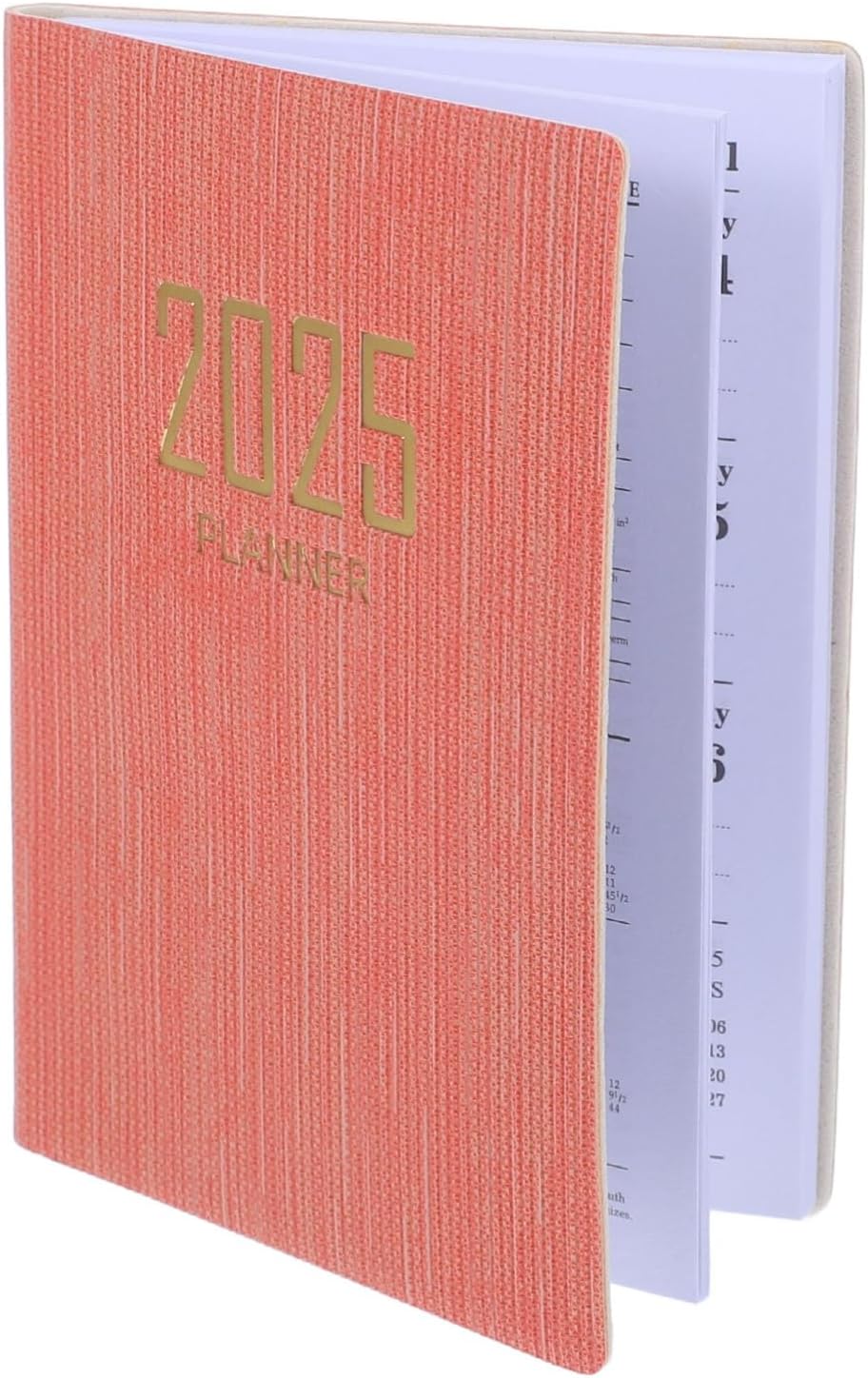 Pocket Planner 2025 – Weekly & Monthly Daily Planner 2025