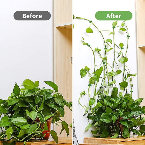 20pcs Leaf Shape Plant Climb, Plant Climbing Wall Fixture Clip Leaf Shape Adhesive Sticker Plant Fixer Binding Clip Invisible Wall Vines Clip Plant, Green Color
