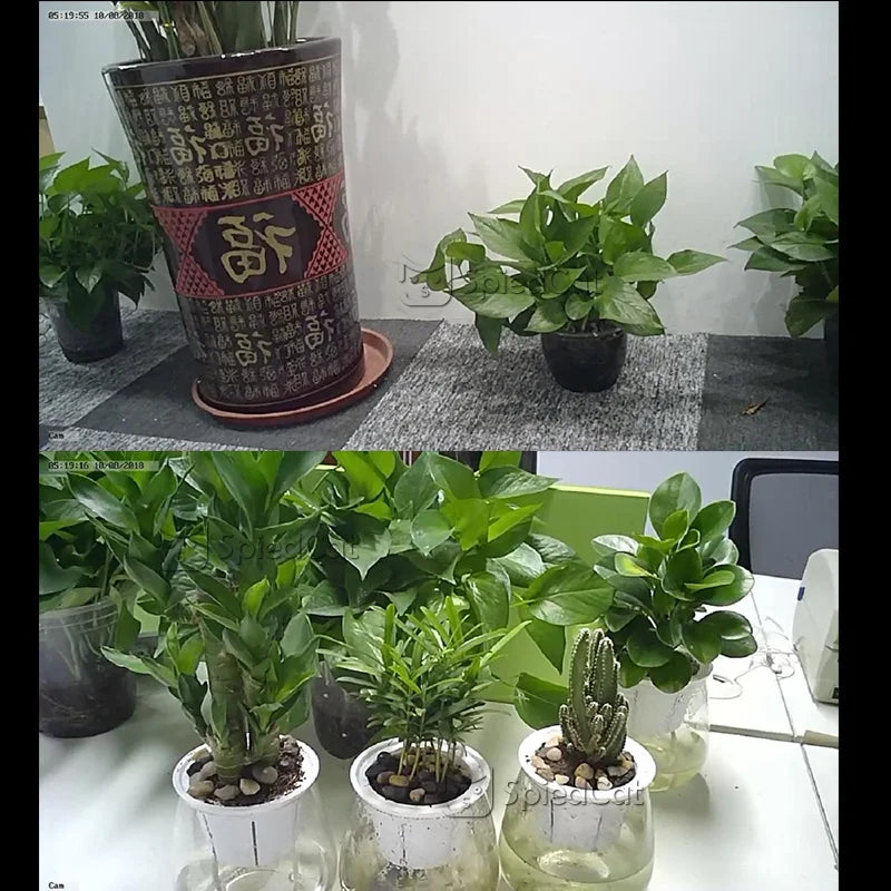 Full HD 1080P IP P2P Micro Mini WIFI Flexible Camera Video Audio Recorder Net work Motion Detection Camcorder Support TF Card