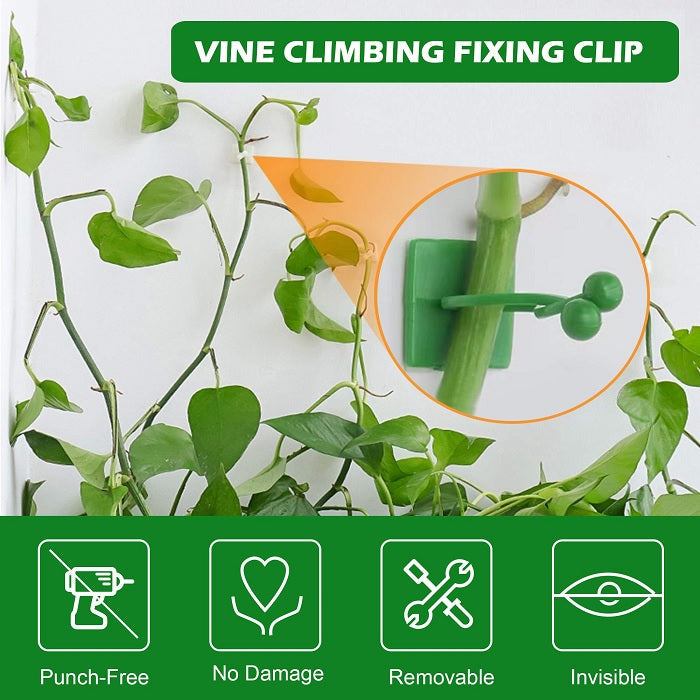 30pcs Climbing Plants Wall Clips (Large Size), Vine Plant Climbing Fixing Clip Hook Invisible Plant Clips for Climbers Plant Wall Clips Plant Support Binding Clip