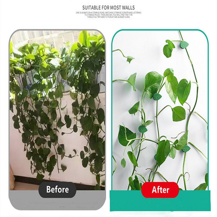 10 Pcs Leaf Shape Climbing Plant, Wall Vine Climbing Plant Support Hook Self-Adhesive Vines Traction Clips Leaf Shape Plant Fixer, Wire Fixing Cable Organizer with Adhesive Sticker