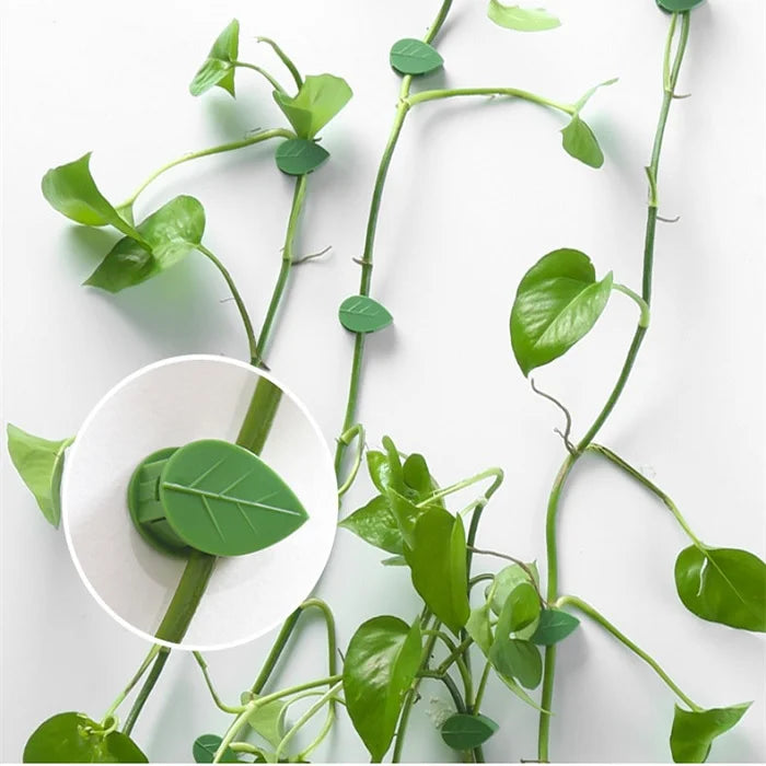 10 Pcs Leaf Shape Climbing Plant, Wall Vine Climbing Plant Support Hook Self-Adhesive Vines Traction Clips Leaf Shape Plant Fixer, Wire Fixing Cable Organizer with Adhesive Sticker
